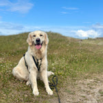 MEGIN Multisport Custom