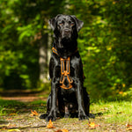 MEGIN Multisport Custom