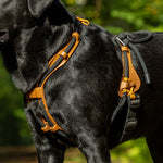 MEGIN Multisport Custom