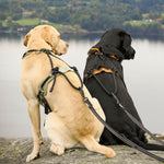 MEGIN Multisport Custom