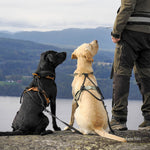 MEGIN Multisport Custom