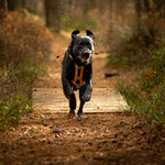 MEGIN Multisport Custom