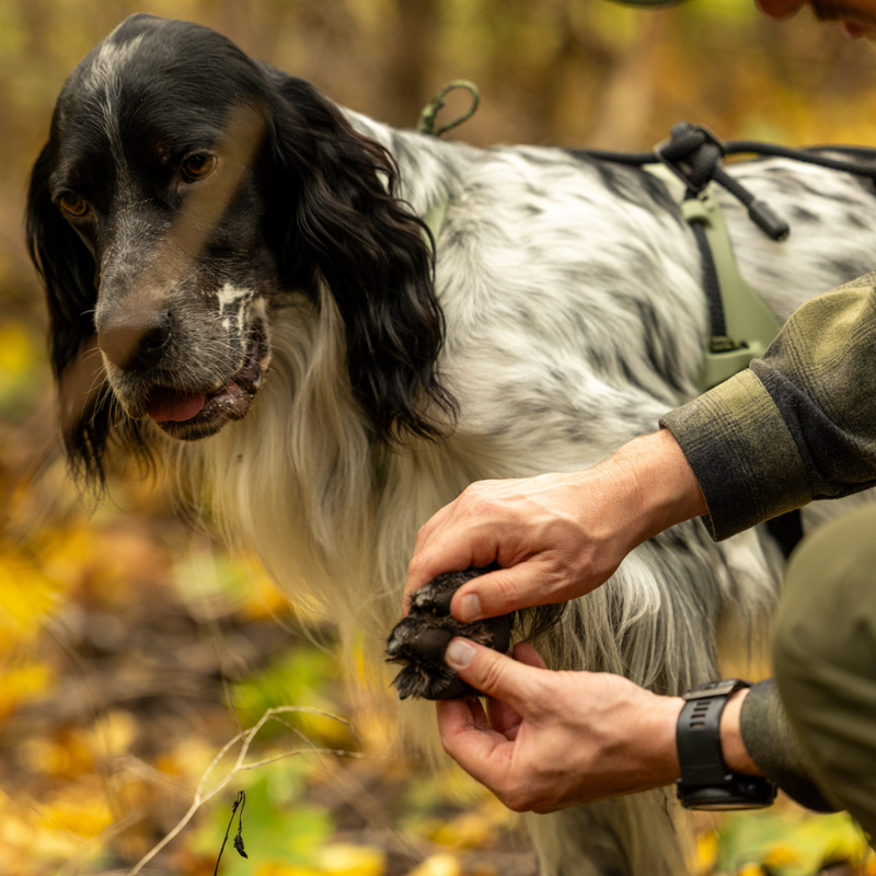 Trine Ultimate Edition Potevoksstift – Ekstrem vinterbeskyttelse for hundepoter