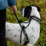 MEGIN Multisport Custom