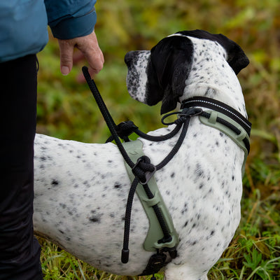 MEGIN Multisport Custom