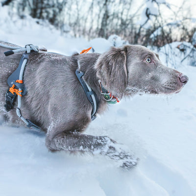 MEGIN multisport design din egen